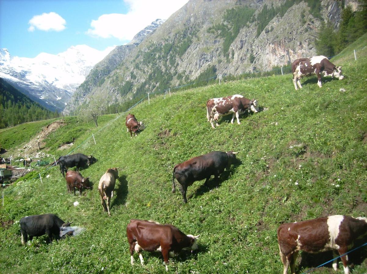 La Ferme Du Grand Paradis 코네 외부 사진